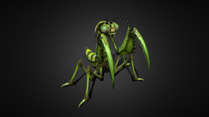 Praying Mantis 3D Model