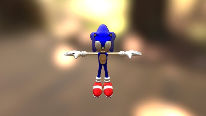 Sonic Retopology 3D Model