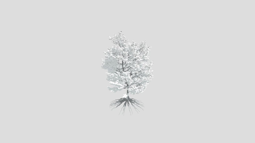 Tree 12