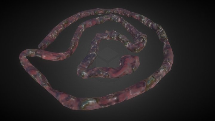 disgusting horror asset 3D Model