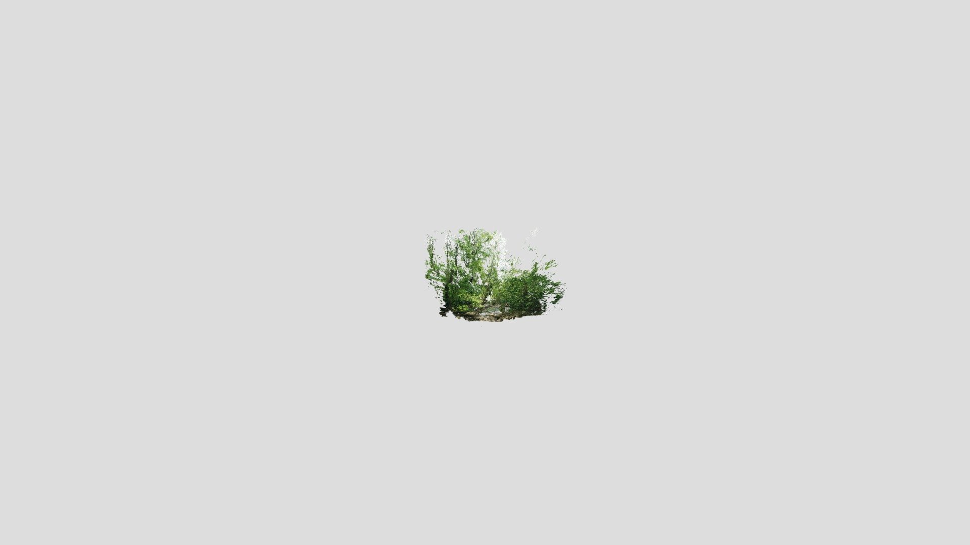 Forest 2 Point Cloud (Dense version)