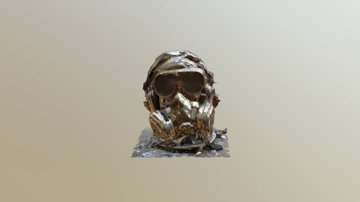 STEAMPUNK   PIRATE 3D Model