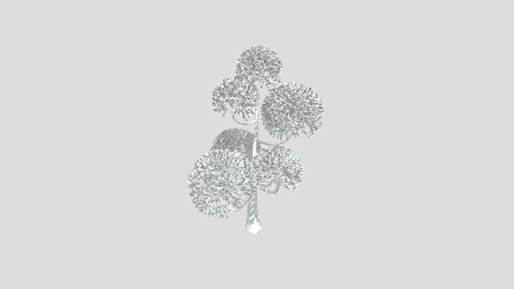Sj Ornamental Tree Cluster Bloom