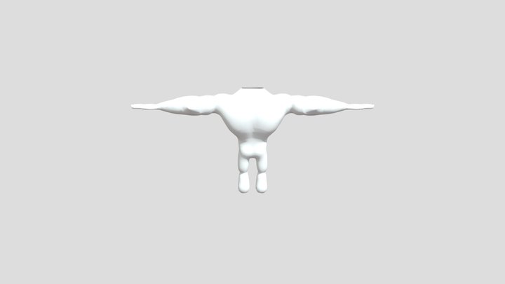 Stylized Human Body