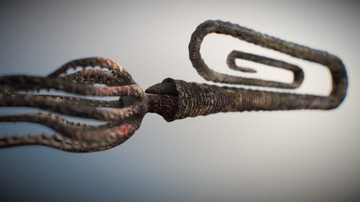 Diplomocera 3D Model