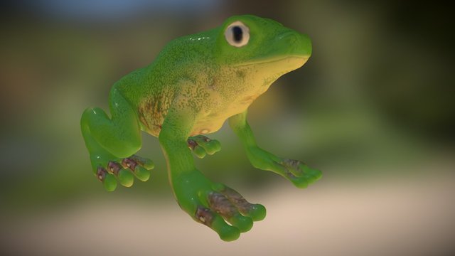 Frog_Toon 3D Model
