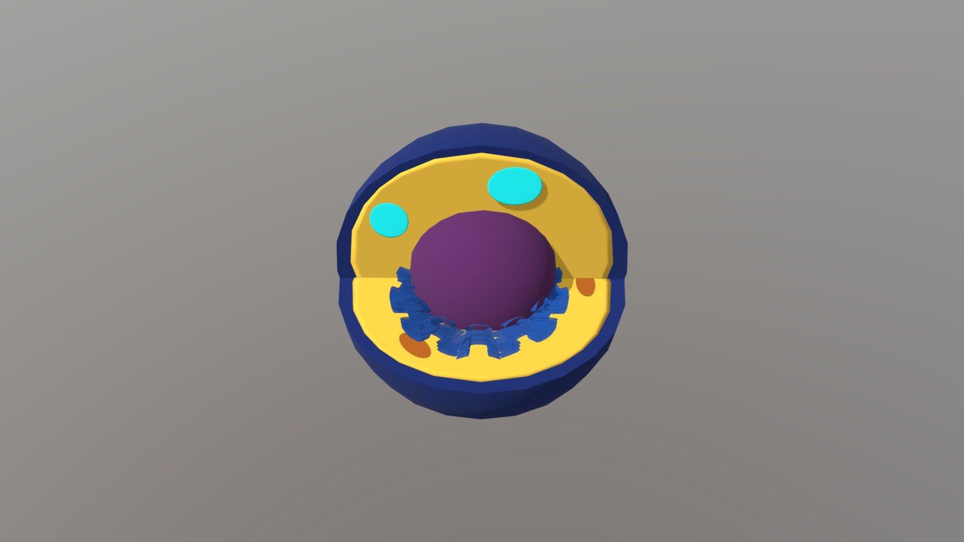 Animal Cell Download Free 3D model by JanKowal [9d5e804] Sketchfab