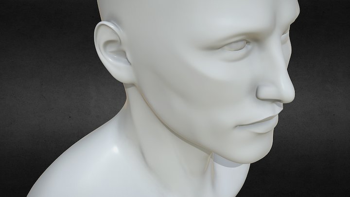 Male Bust Base 3D Model