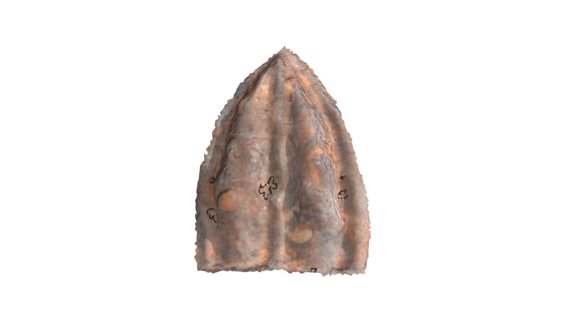 C17 - aurochs MNIR
