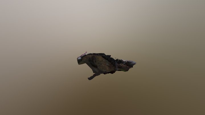 swinghill 3D Model