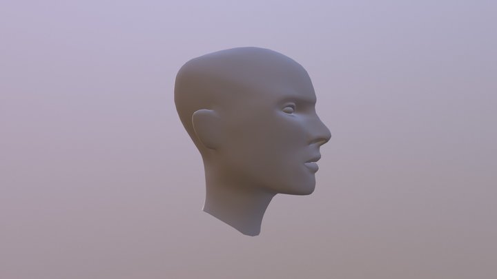 Human Head 3D Model