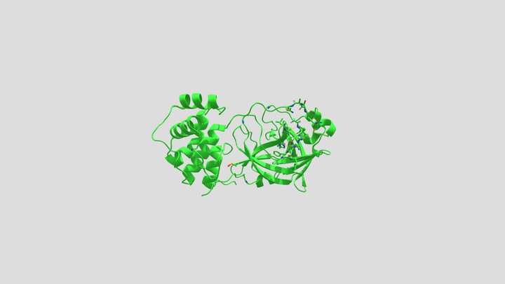 SARS-CoV-2 Mpro PyMol 3D Model