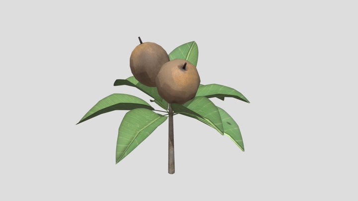 Chiku 3D Model
