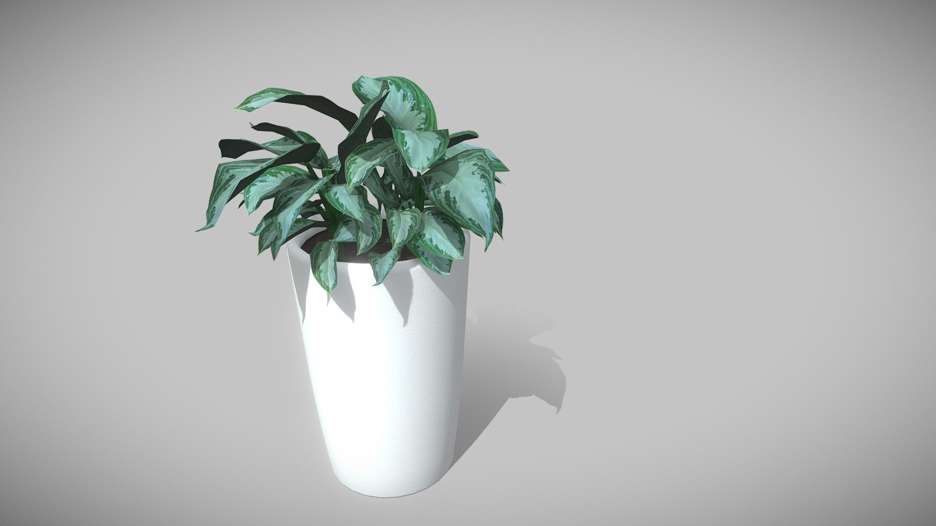 Tall Potted House Plant