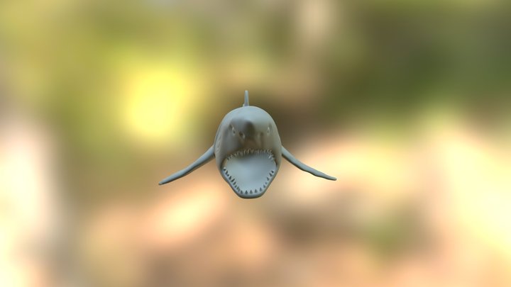 The Great White Shark - In Progress 3D Model