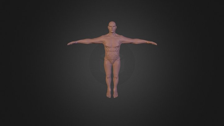 Vael_wip_01 3D Model