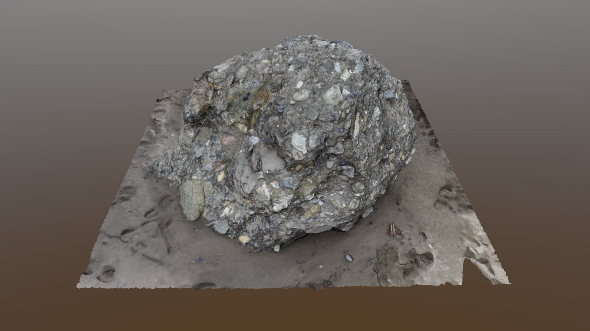 Metaconglomerate of the Franciscan Complex