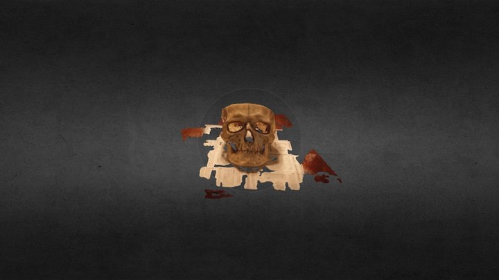 Skull 3D Model