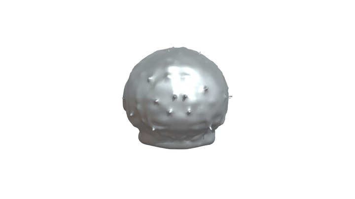 Biological cell with organelles 3D Model