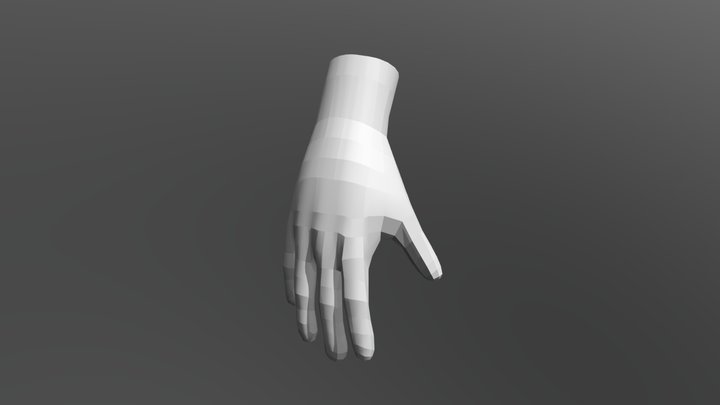 Retopology Hand 3D Model