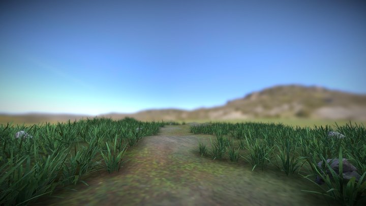 Grass Path & Field 3D Model