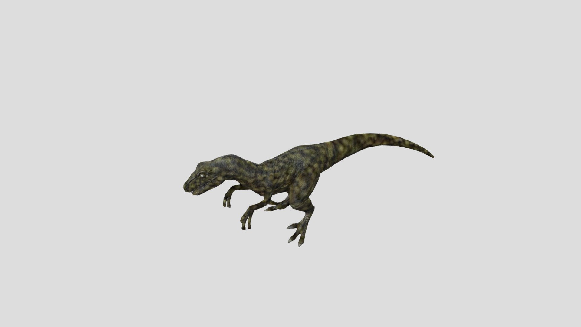 Velociraptor 1+motions
