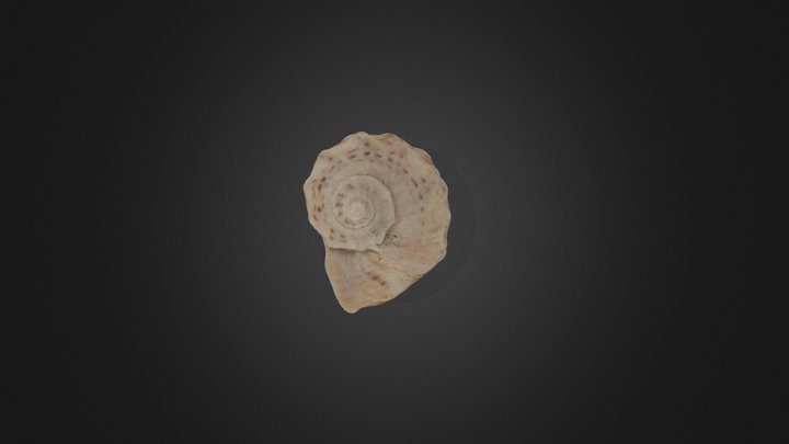 Ч12 3D Model