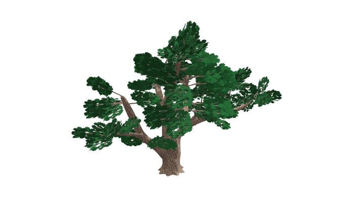 Overlook Tree 3D Model