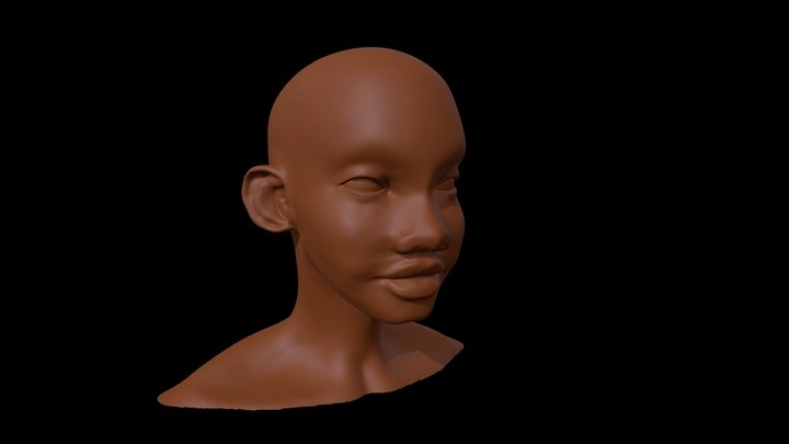 Bri Head New 3D Model