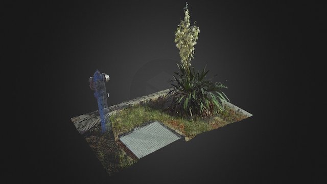 A little example of Project Point Cloud 3D Model