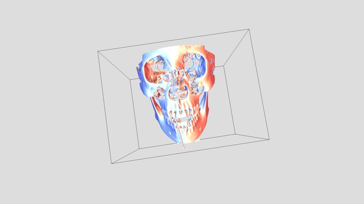 Skull 3D Model