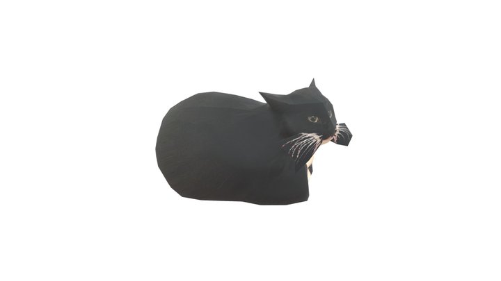 maxwell 3D Model