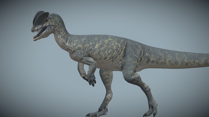 Dilophosaurus wetherilli – Kostenloses 3D-Modell STL