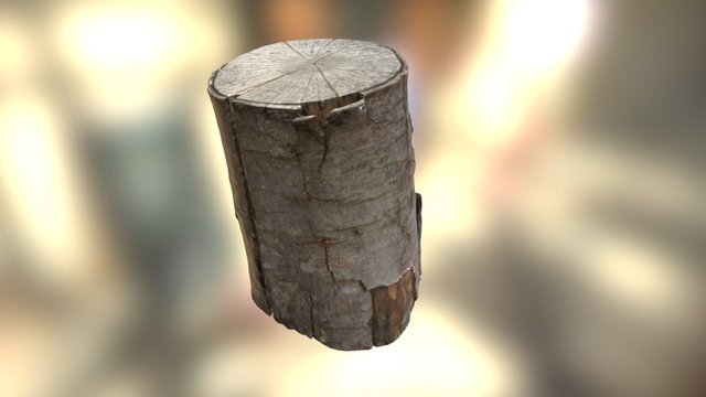 Panj 3D Model
