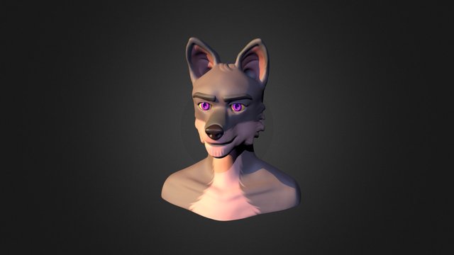 Furry Male Head Study - Optimised 3D Model