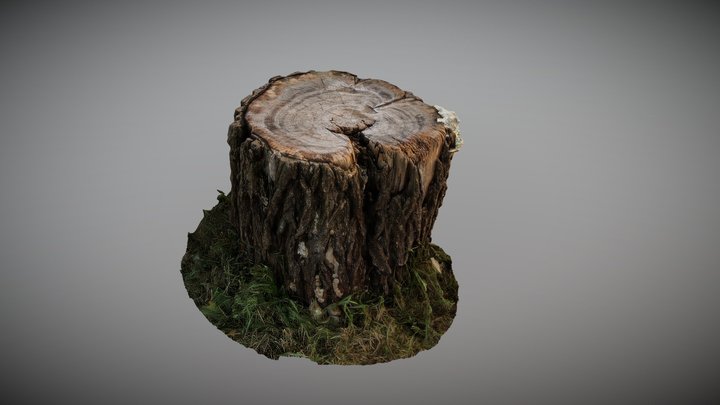 Stump 3D Model