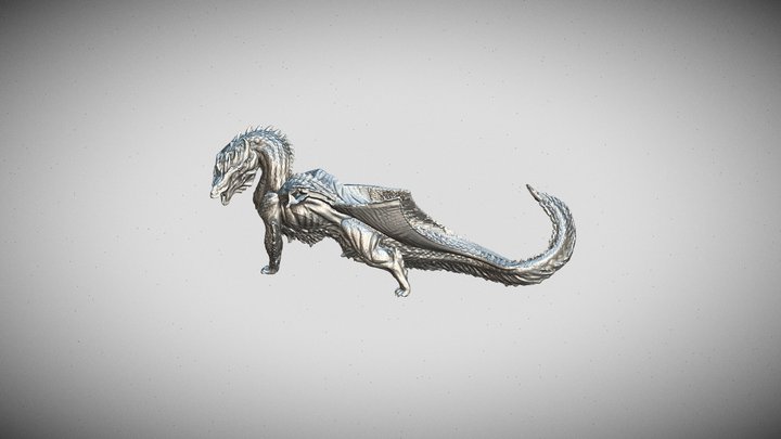 Gyohyo Ryu_1 3D Model