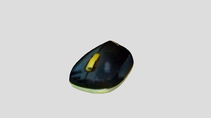 New Qlone 3D Model