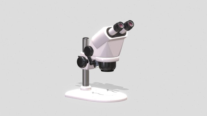 Stereo Microscope 3D Model