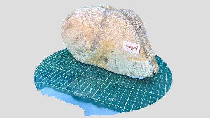 Rock 16 3D Model