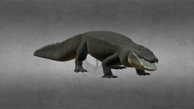 American Alligator - Blender File