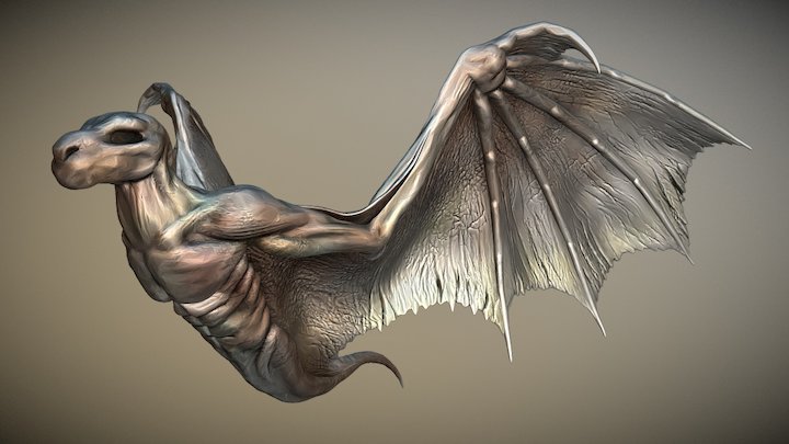 Wings Study 3D Model