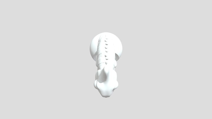 Cameleon.obj (Designed for a PLA 3D Printer) 3D Model