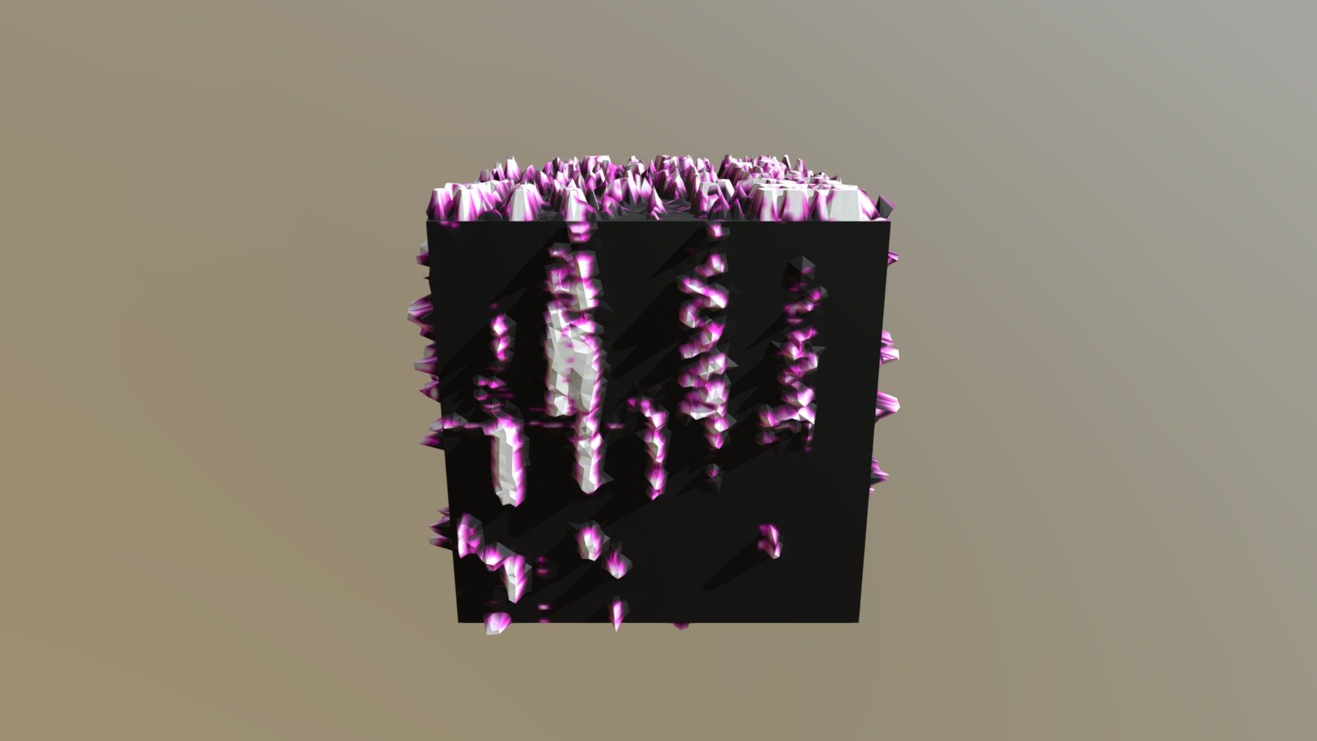 Honorstudio0212_3