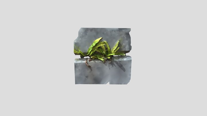 Fern in Brick Wall 3D Model