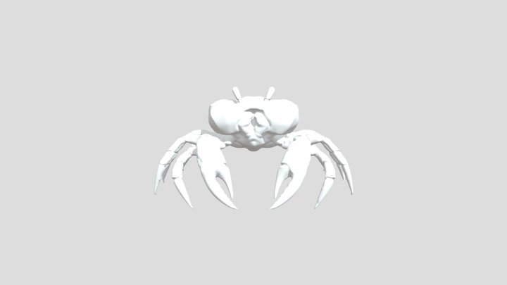 RUAUX Etienne- Basemesh 3D Model