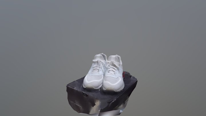 1 3D Model
