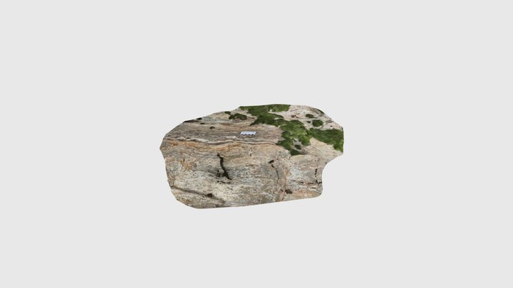 Porfiroclasto de tipo sigma 3D Model