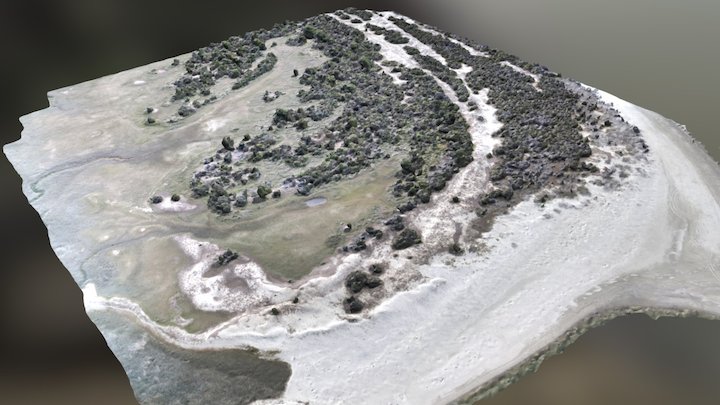 West Kiawah Island 3D Model