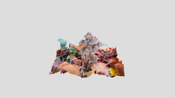 Mica Cap – Modello 3D gratuito STL